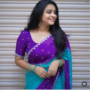 V0015-soft chiffon silk saree with cut work