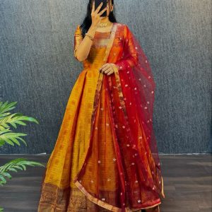 Sets V0003 - anarkali+dupatta